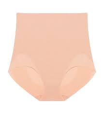 High - Waisted Shaping Underwear – Seamless Tummy Control Brief - Femora Store